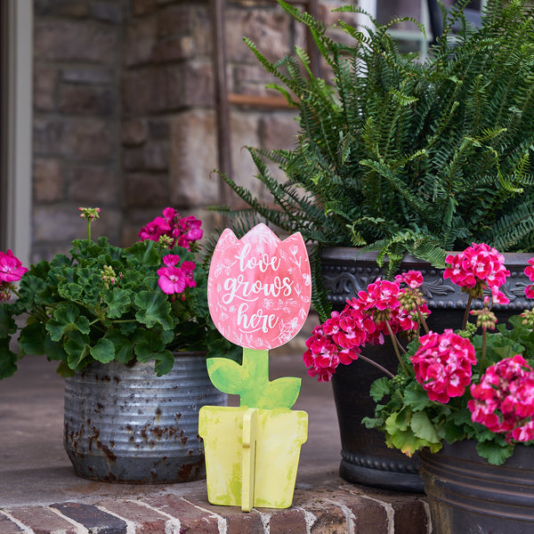 18" Slotted Tulip