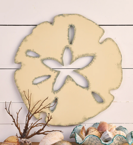 12" SAND DOLLAR