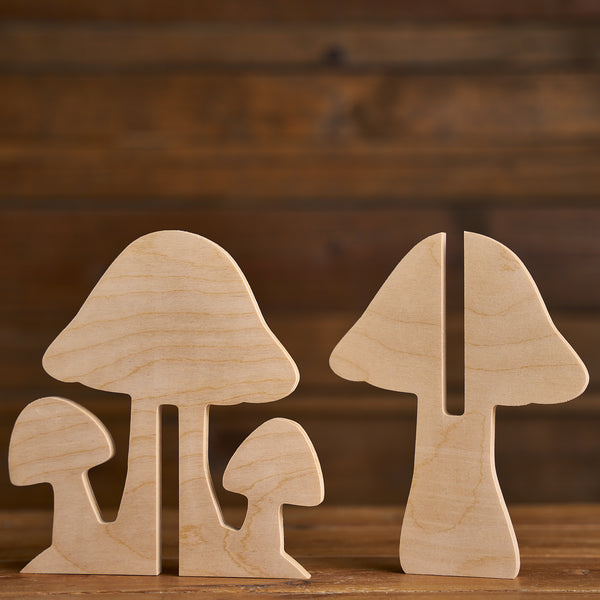 Slotted Mushroom Family