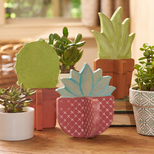 Slotted Succulents - Set of 3