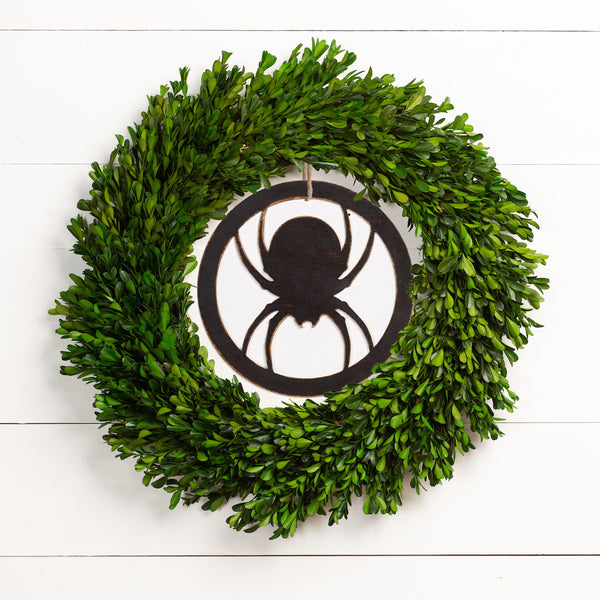 Laser Insert - Spider